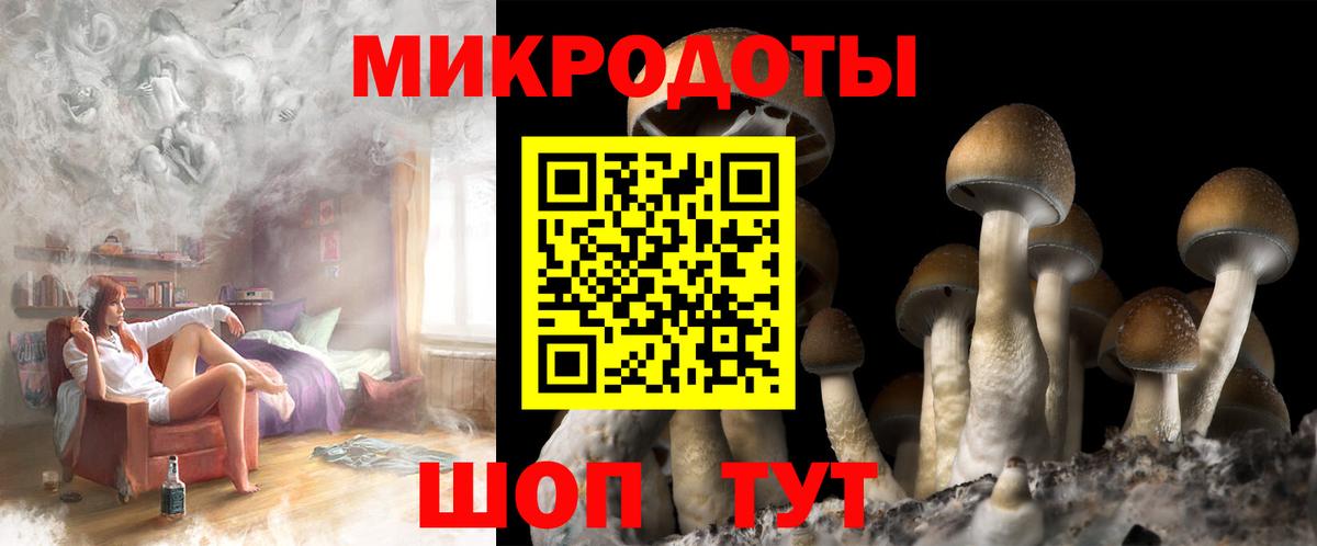 Галлюциногенные грибы прущие грибы Владикавказ
